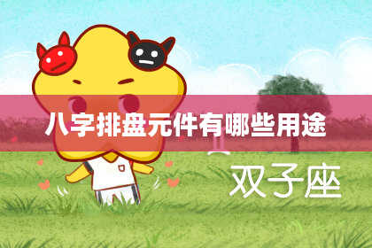 八字排盘元件有哪些用途
