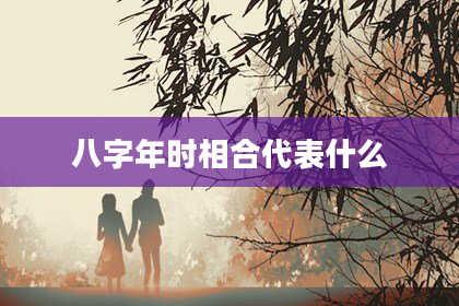 八字年时相合代表什么