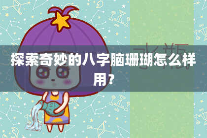 探索奇妙的八字脑珊瑚怎么样用?