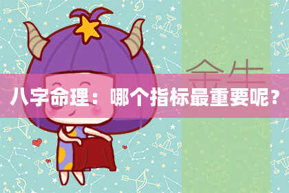 八字命理：哪个指标最重要呢？