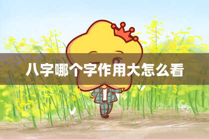 八字哪个字作用大怎么看