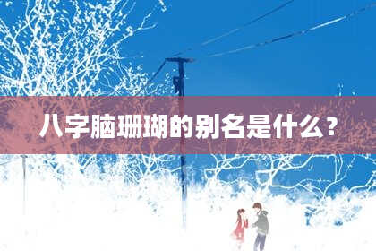 八字脑珊瑚的别名是什么？