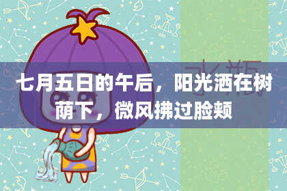 七月五日的午后，阳光洒在树荫下，微风拂过脸颊