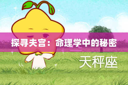 探寻夫宫：命理学中的秘密