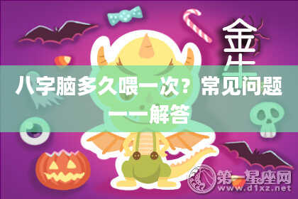 八字脑多久喂一次？常见问题一一解答