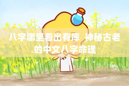 八字哪里看出有库  神秘古老的中文八字命理