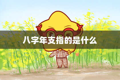 八字年支指的是什么