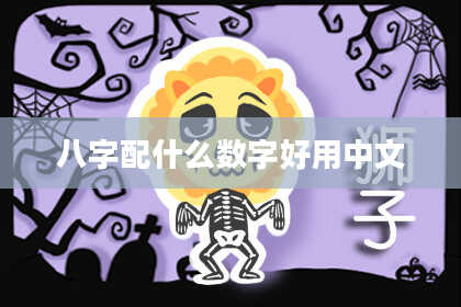 八字配什么数字好用中文