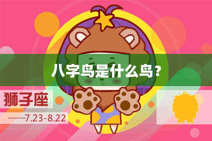 八字鸟是什么鸟？