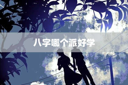 八字哪个派好学