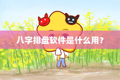 八字排盘软件是什么用？