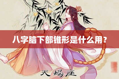 八字脑下部锥形是什么用？