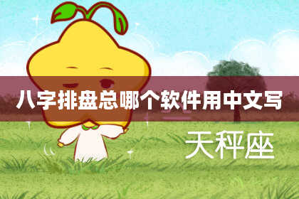 八字排盘总哪个软件用中文写