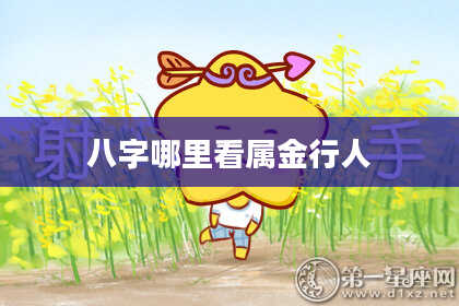 八字哪里看属金行人