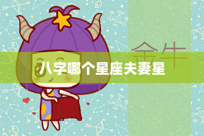 八字哪个星座夫妻星