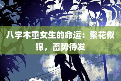 八字木重女生的命运：繁花似锦，蓄势待发