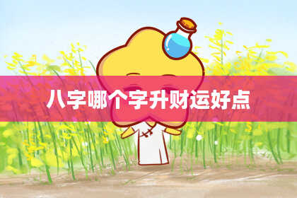 八字哪个字升财运好点