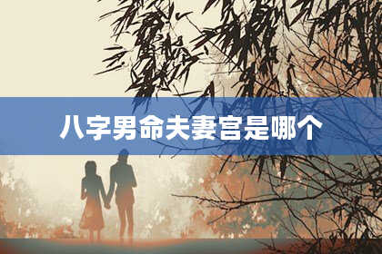 八字男命夫妻宫是哪个