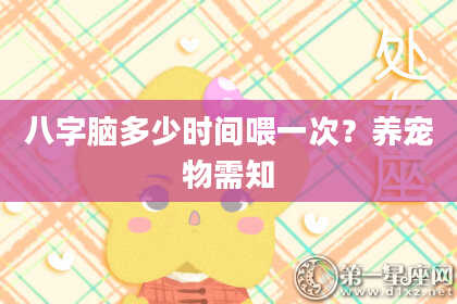 八字脑多少时间喂一次？养宠物需知