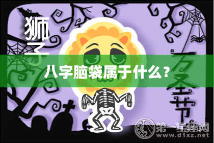 八字脑袋属于什么？