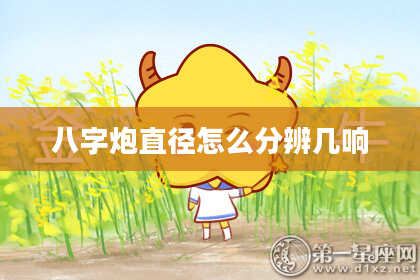 八字炮直径怎么分辨几响