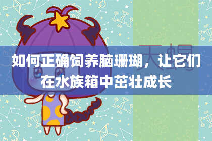 如何正确饲养脑珊瑚,让它们在水族箱中茁壮成长