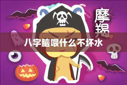 八字脑喂什么不坏水