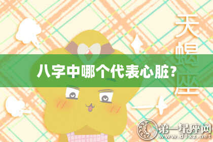 八字中哪个代表心脏？