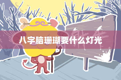 八字脑珊瑚要什么灯光