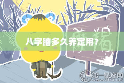 八字脑多久养定用？