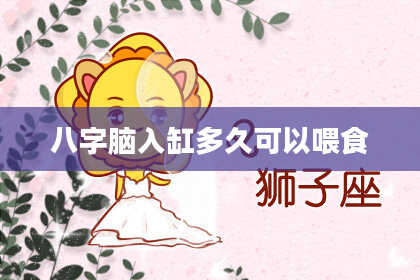 八字脑入缸多久可以喂食