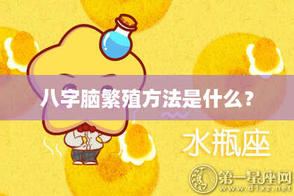 八字脑繁殖方法是什么？