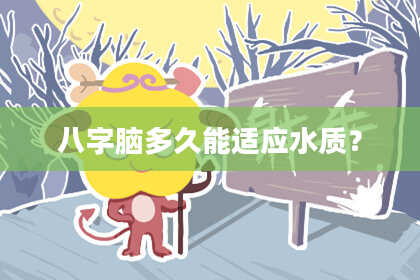 八字脑多久能适应水质？