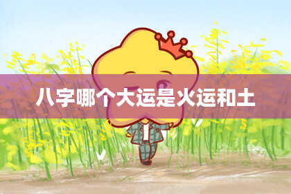 八字哪个大运是火运和土