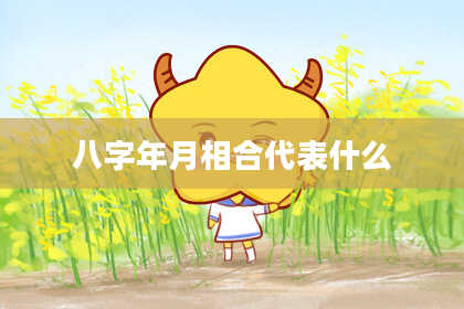 八字年月相合代表什么