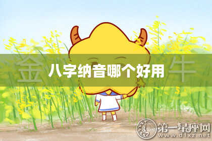 八字纳音哪个好用