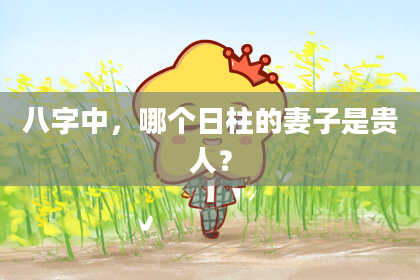 八字中，哪个日柱的妻子是贵人？