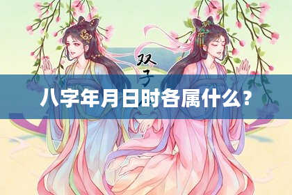 八字年月日时各属什么？