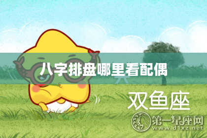 八字排盘哪里看配偶