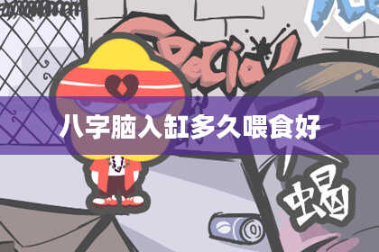 八字脑入缸多久喂食好