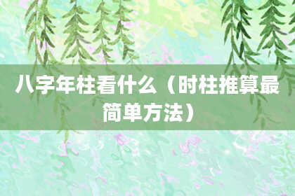 八字年柱看什么（时柱推算最简单方法）