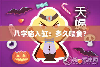 八字脑入缸：多久喂食？