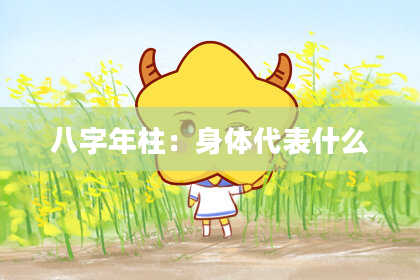 八字年柱：身体代表什么