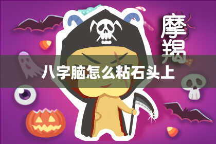八字脑怎么粘石头上
