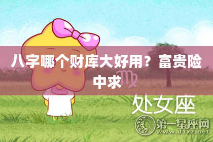 八字哪个财库大好用？富贵险中求