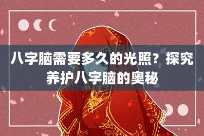 八字脑需要多久的光照？探究养护八字脑的奥秘