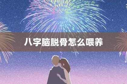 八字脑脱骨怎么喂养