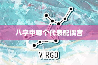 八字中哪个代表配偶宫