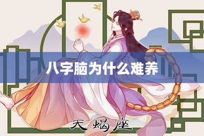 八字脑为什么难养