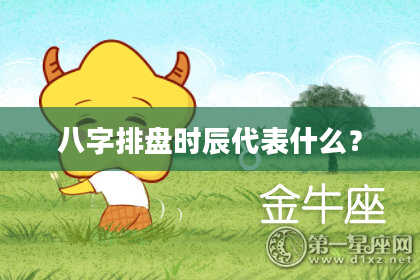 八字排盘时辰代表什么？